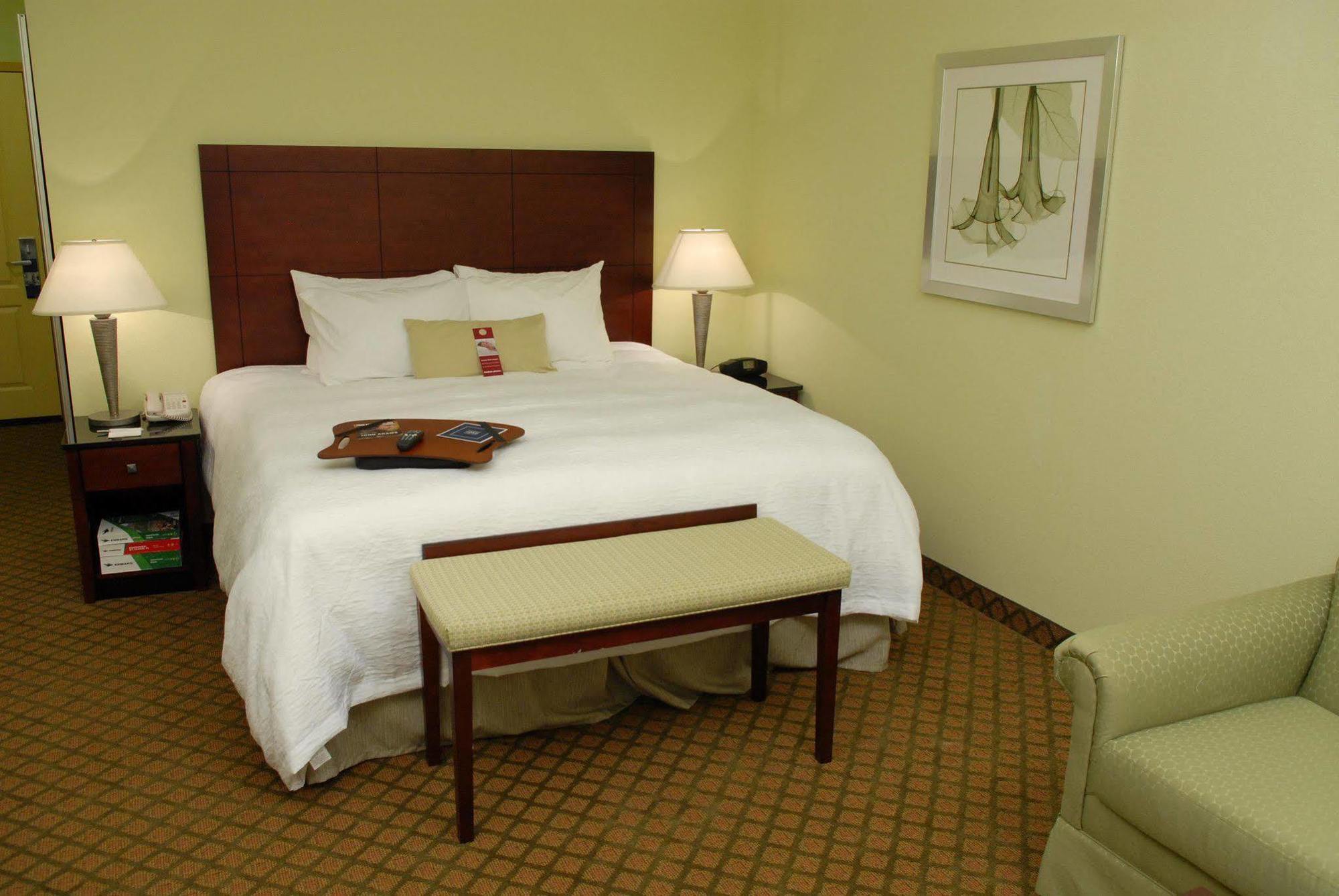 Hampton Inn & Suites Orlando-South Lake Buena Vista Kissimmee Kamer foto